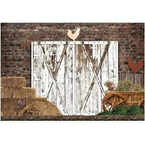 Photo backdrop